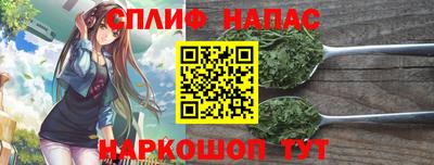 амф Боровичи