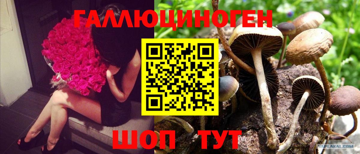 Галлюциногенные грибы ЛСД  Вход с VPN  Асино 