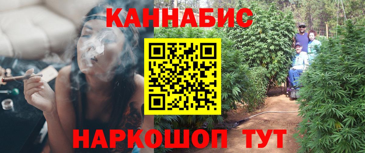 Марихуана сатива Асино